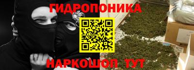 прущая мука Гусев