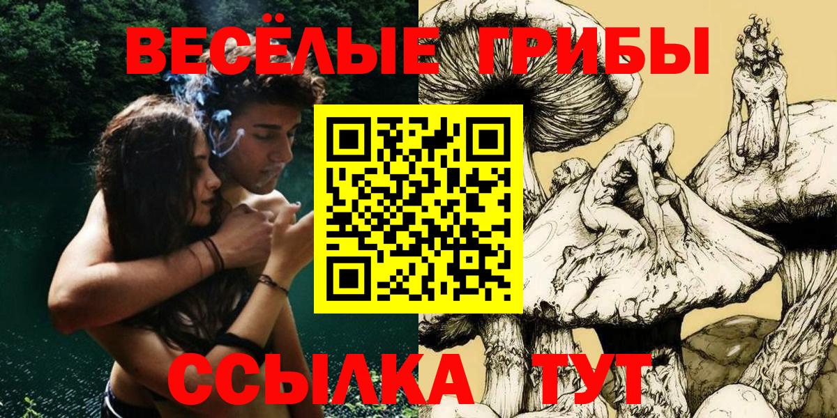 Кимовск  Псилоцибиновые грибы MAGIC MUSHROOMS  Вход с VPN 